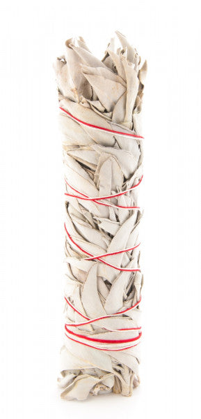 Weißer Salbei – Smudge Stick 22cm