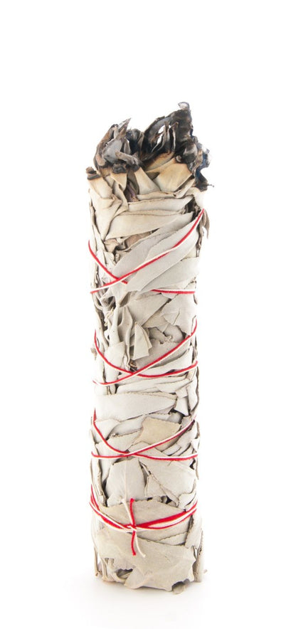 Weißer Salbei – Smudge Stick 22cm