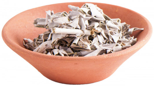 Weißer Salbei (Salvia apiana) - Natur Magie