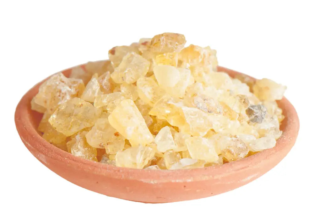Copal Hell - (Agathis dammara) - Natur Magie