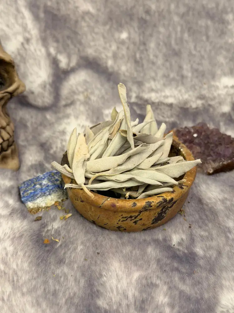 Weißer Salbei (Salvia apiana) - Räucherwerk lose
