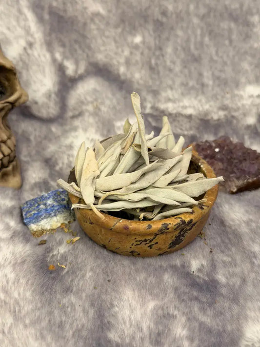 Weißer Salbei (Salvia apiana) - Räucherwerk lose