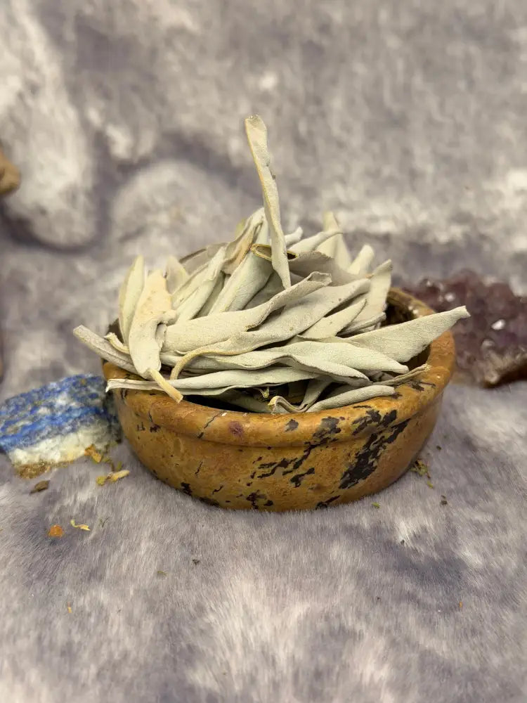 Weißer Salbei (Salvia apiana) - Räucherwerk lose