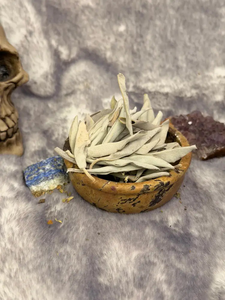 Weißer Salbei (Salvia apiana) - Räucherwerk lose