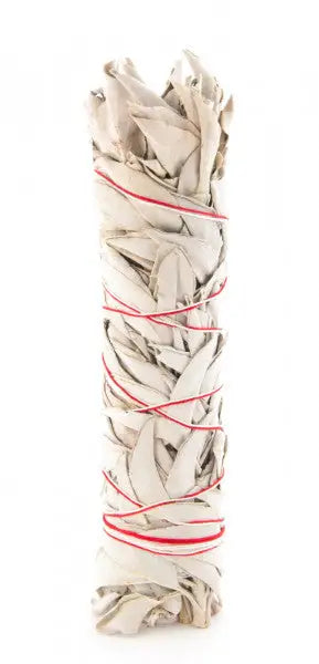 Weißer Salbei – Smudge Stick 22cm - räucherwerk